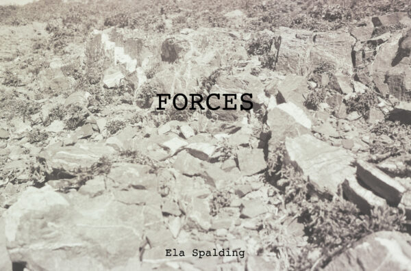FORCES Music Album