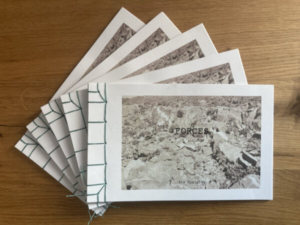 FORCES Limited Edition artist book with digital music album